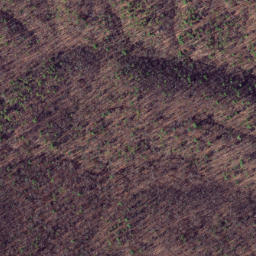 Satellite imagery of The Ridges, US