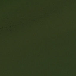 Satellite imagery of Sycamore Point, US