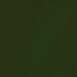 Satellite imagery of Chapman Point, US
