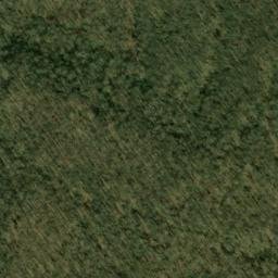 Satellite imagery of Cheat Mountain, US