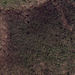Satellite imagery of Cow Ridge, US