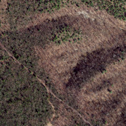 Satellite imagery of Cow Ridge, US