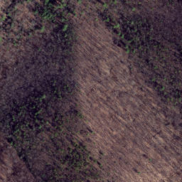 Satellite imagery of Gauley Ridge, US