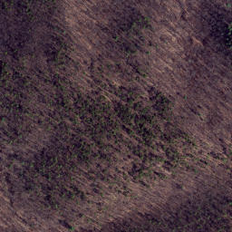 Satellite imagery of Gauley Ridge, US