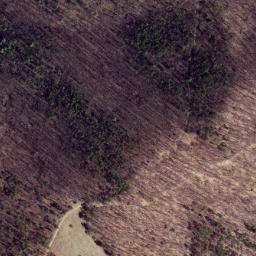 Satellite imagery of Gauley Ridge, US