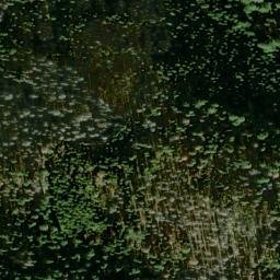 Satellite imagery of Telephone Ridge, US