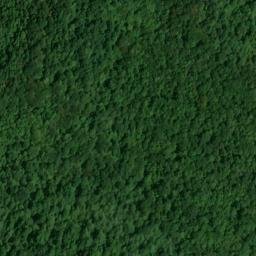 Satellite imagery of Pleasant Ridge, US