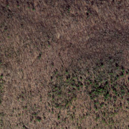 Satellite imagery of Smooth Ridge, US