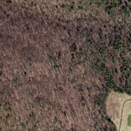 Satellite imagery of Smooth Ridge, US