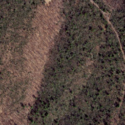 Satellite imagery of Cow Ridge, US