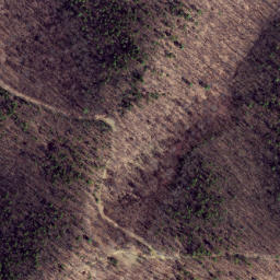 Satellite imagery of Gauley Ridge, US