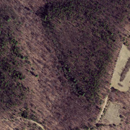 Satellite imagery of Gauley Ridge, US