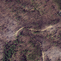 Satellite imagery of The Ridges, US