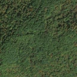 Satellite imagery of Bug Ridge, US