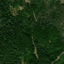 Satellite imagery of Cheat Mountain, US