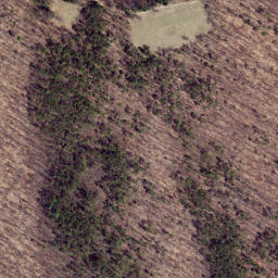 Satellite imagery of Gauley Ridge, US