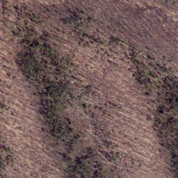 Satellite imagery of Gauley Ridge, US