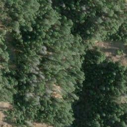 Satellite imagery of Inman Shale Quarry, US