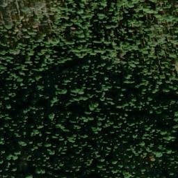Satellite imagery of Arbor Mine, US