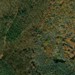 Satellite imagery of Bee Tree Ridge, US
