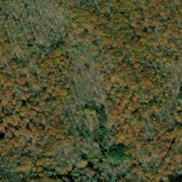 Satellite imagery of Bee Tree Ridge, US