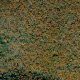 Satellite imagery of Bee Tree Ridge, US