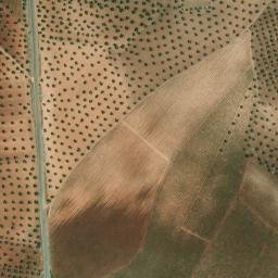 Satellite imagery of survey_point, PT