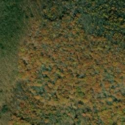 Satellite imagery of Bee Tree Ridge, US