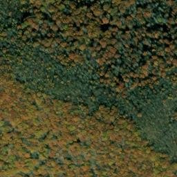 Satellite imagery of Bee Tree Ridge, US