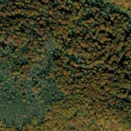 Satellite imagery of Bee Tree Ridge, US
