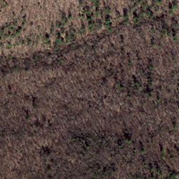 Satellite imagery of Wildcat Ridge, US