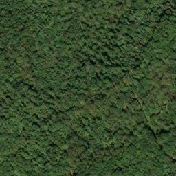 Satellite imagery of Turkey Ridge, US