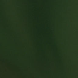 Satellite imagery of Freestone Point, US