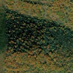 Satellite imagery of Bee Tree Ridge, US