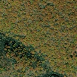 Satellite imagery of Bee Tree Ridge, US