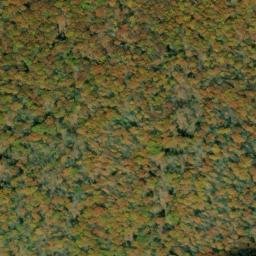 Satellite imagery of Bee Tree Ridge, US