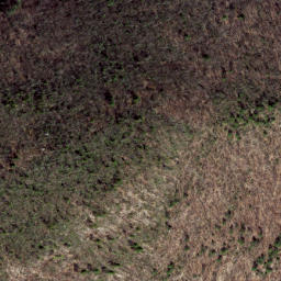 Satellite imagery of Wildcat Ridge, US