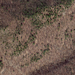 Satellite imagery of Wildcat Ridge, US