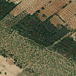 Satellite imagery of survey_point, PT