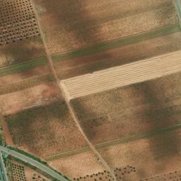 Satellite imagery of survey_point, PT
