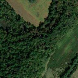 Satellite imagery of Narrows, US