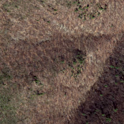 Satellite imagery of Wildcat Ridge, US