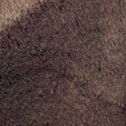 Satellite imagery of Wildcat Ridge, US