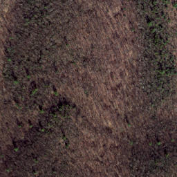 Satellite imagery of Wildcat Ridge, US