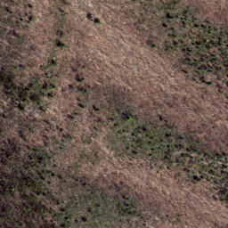 Satellite imagery of Peach Ridge, US