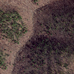 Satellite imagery of Peach Ridge, US