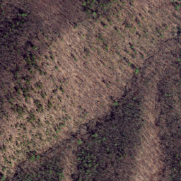 Satellite imagery of Trail Ridge, US