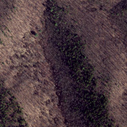 Satellite imagery of Trail Ridge, US