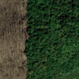 Satellite imagery of Narrows, US