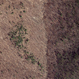 Satellite imagery of Peach Ridge, US